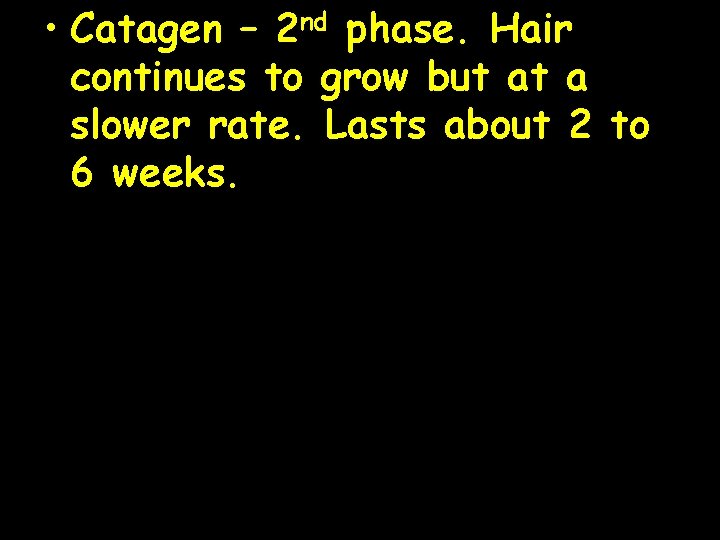  • Catagen – 2 nd phase. Hair continues to grow but at a