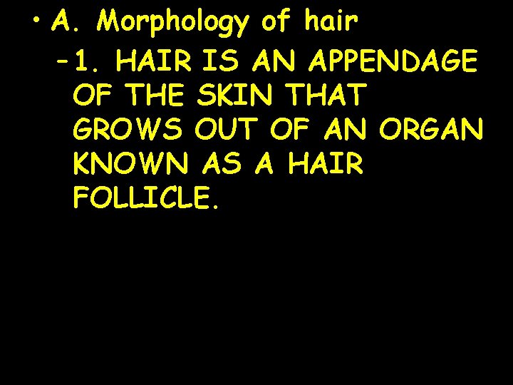  • A. Morphology of hair – 1. HAIR IS AN APPENDAGE OF THE