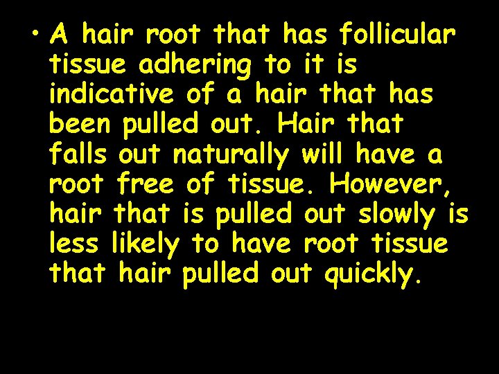 • A hair root that has follicular tissue adhering to it is indicative • A hair root that has follicular tissue adhering to it is indicative