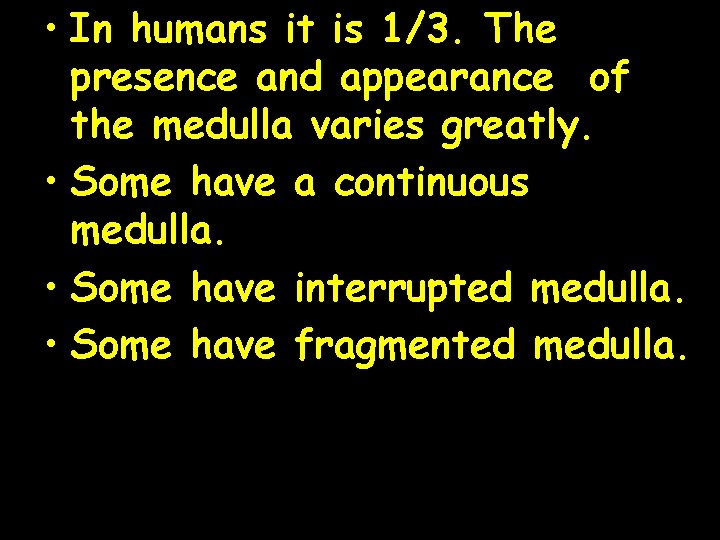 • In humans it is 1/3. The presence and appearance of the medulla