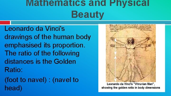 Mathematics and Physical Beauty Leonardo da Vinci's drawings of the human body emphasised its