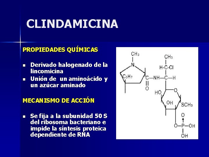 CLINDAMICINA PROPIEDADES QUÍMICAS n n Derivado halogenado de la lincomicina Unión de un aminoácido