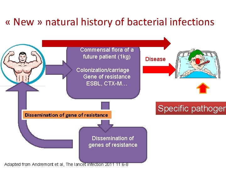  « New » natural history of bacterial infections Commensal flora of a future