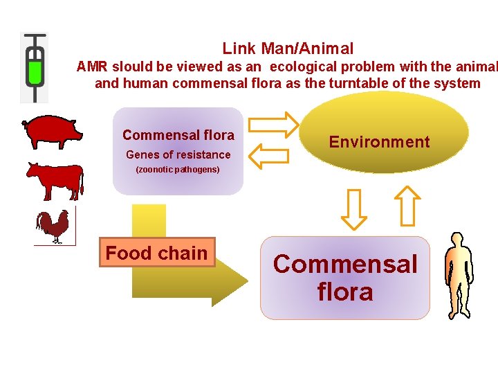 Link Man/Animal AMR slould be viewed as an ecological problem with the animal and