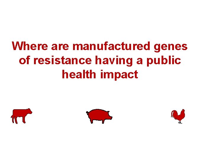 Where are manufactured genes of resistance having a public health impact 