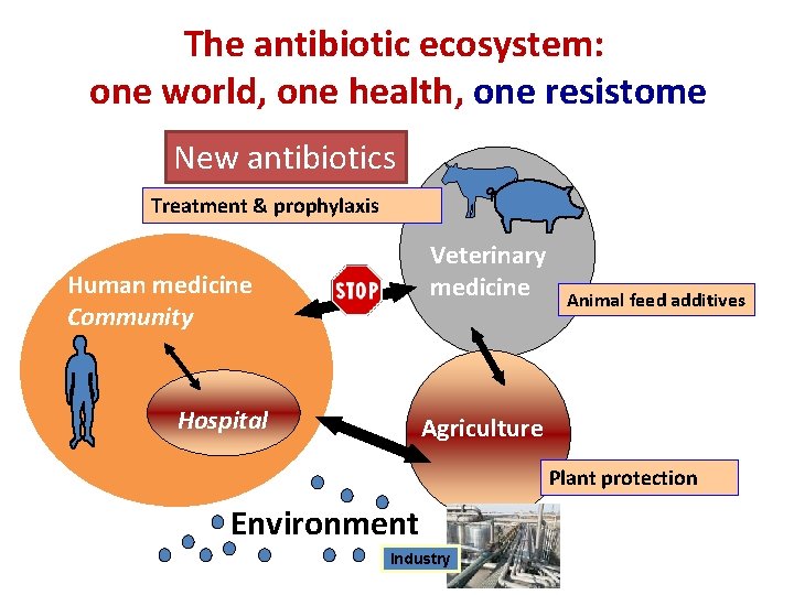 The antibiotic ecosystem: one world, one health, one resistome New antibiotics Treatment & prophylaxis