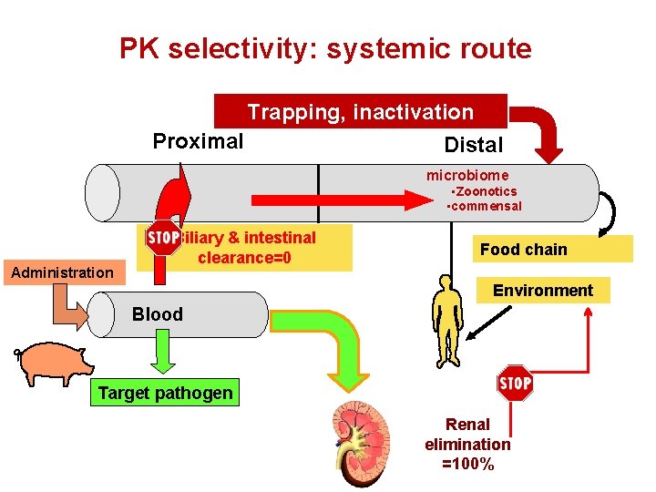 PK selectivity: systemic route Trapping, inactivation Proximal Distal microbiome • Zoonotics • commensal Administration