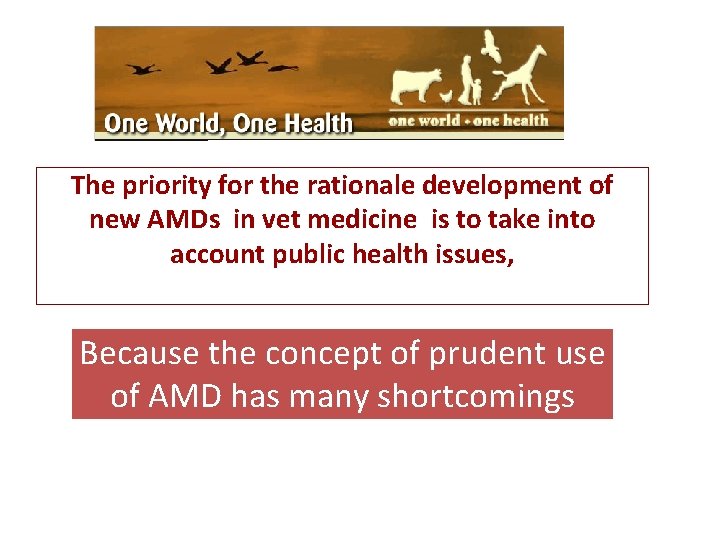 The priority for the rationale development of new AMDs in vet medicine is to