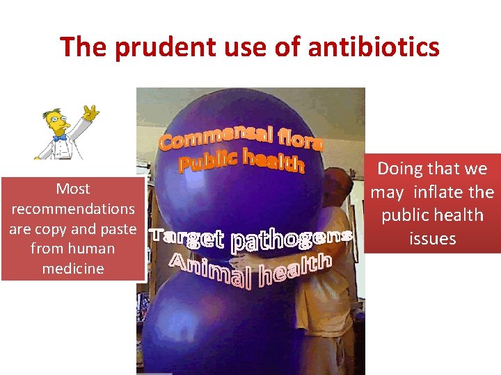 The prudent use of antibiotics Most recommendations are copy and paste from human medicine