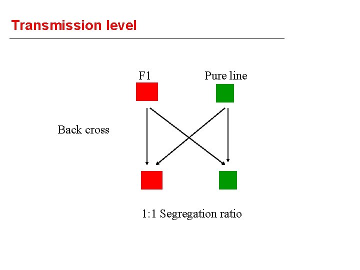 Transmission level F 1 Aa Pure line aa Back cross Aa aa 1: 1