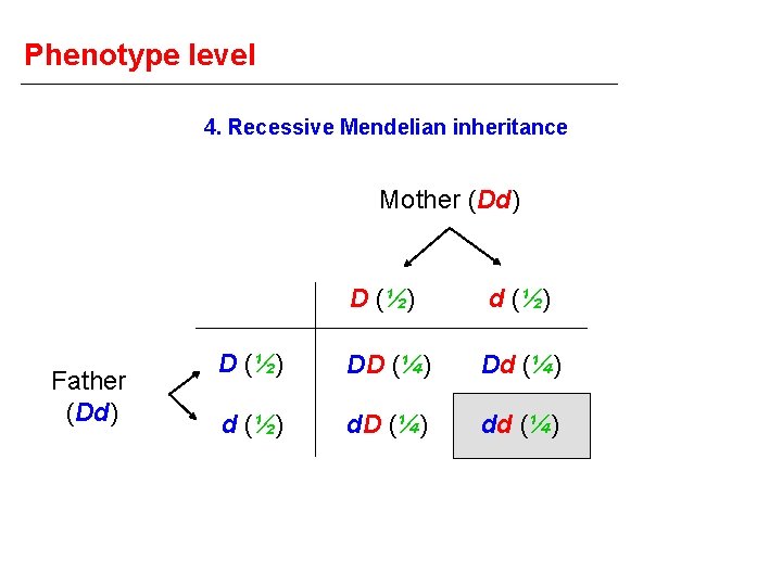 Phenotype level 4. Recessive Mendelian inheritance Mother (Dd) Father (Dd) D (½) d (½)