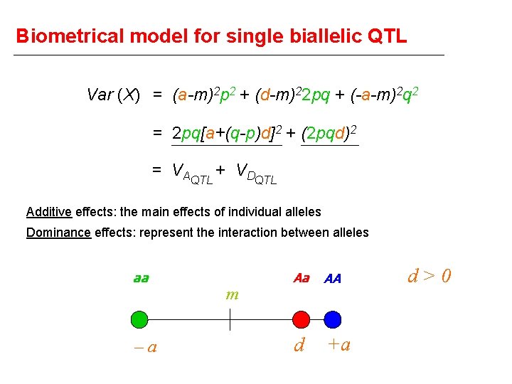 Biometrical model for single biallelic QTL Var (X) = (a-m)2 p 2 + (d-m)22