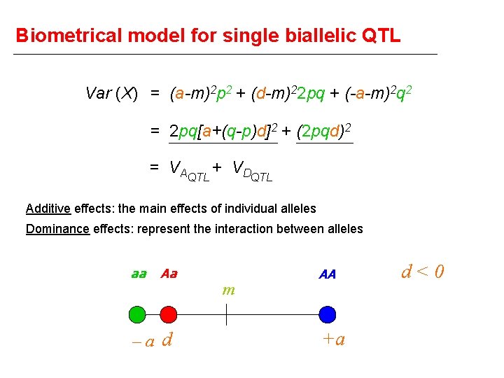 Biometrical model for single biallelic QTL Var (X) = (a-m)2 p 2 + (d-m)22