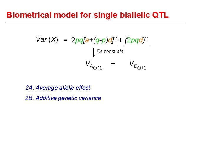 Biometrical model for single biallelic QTL Var (X) = 2 pq[a+(q-p)d]2 + (2 pqd)2