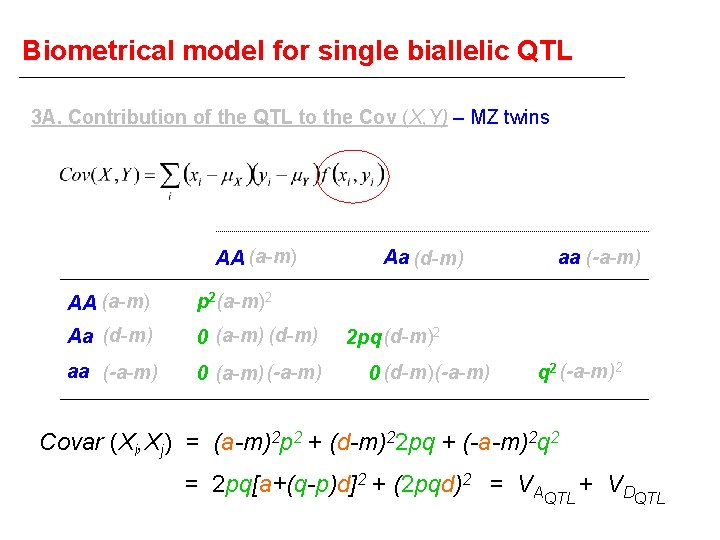 Biometrical model for single biallelic QTL 3 A. Contribution of the QTL to the