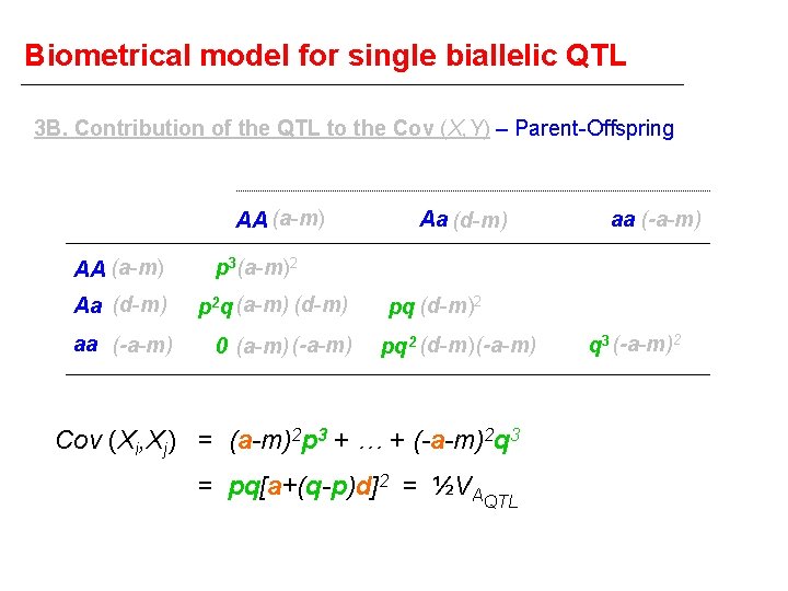 Biometrical model for single biallelic QTL 3 B. Contribution of the QTL to the