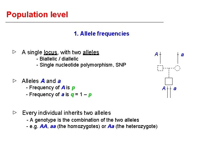Population level 1. Allele frequencies A single locus, with two alleles - Biallelic /