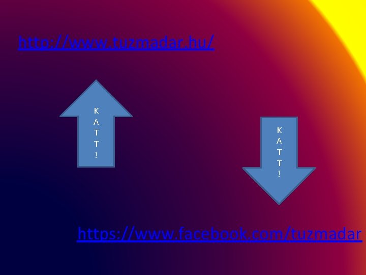 http: //www. tuzmadar. hu/ K A T T ! https: //www. facebook. com/tuzmadar 