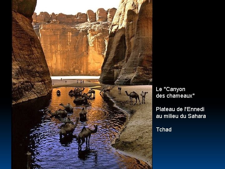 Le "Canyon des chameaux" Plateau de l'Ennedi au milieu du Sahara Tchad 