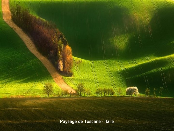 Paysage de Toscane - Italie 