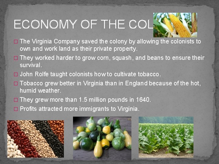 ECONOMY OF THE COLONY � The Virginia Company saved the colony by allowing the