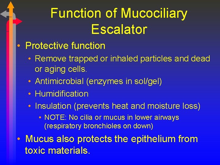 Function of Mucociliary Escalator • Protective function • Remove trapped or inhaled particles and