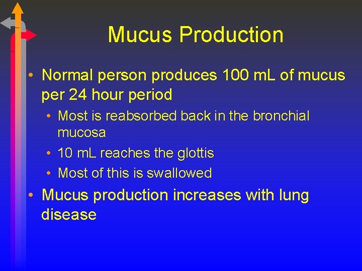 Mucus Production • Normal person produces 100 m. L of mucus per 24 hour