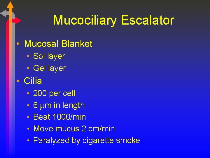 Mucociliary Escalator • Mucosal Blanket • Sol layer • Gel layer • Cilia •