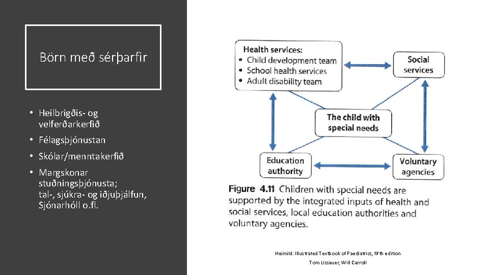 Börn með sérþarfir • Heilbrigðis- og velferðarkerfið • Félagsþjónustan • Skólar/menntakerfið • Margskonar stuðningsþjónusta;