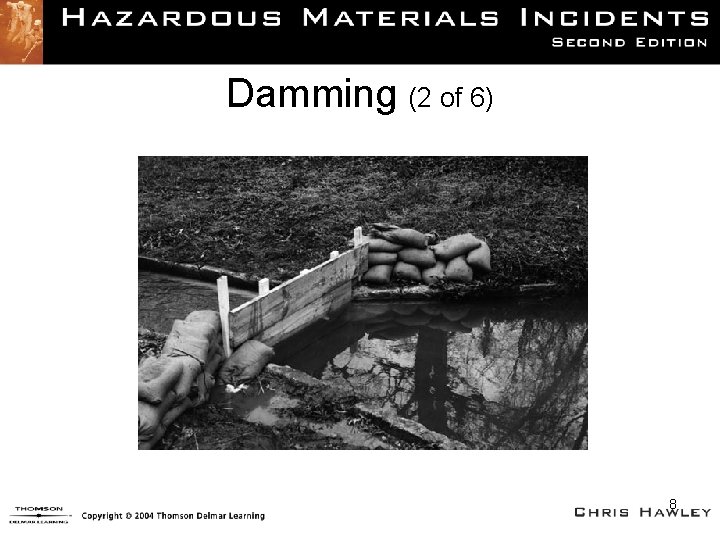 Damming (2 of 6) 8 