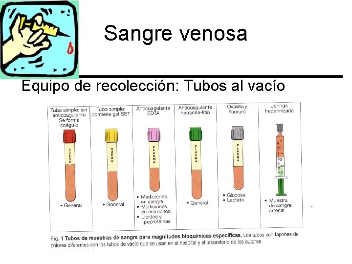 Sangre venosa Equipo de recolección: Tubos al vacío 