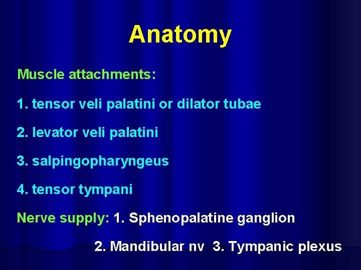 Anatomy Muscle attachments: 1. tensor veli palatini or dilator tubae 2. levator veli palatini