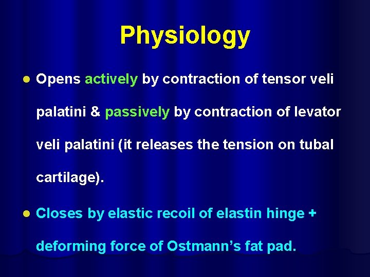Physiology l Opens actively by contraction of tensor veli palatini & passively by contraction