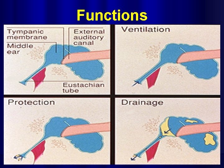 Functions 