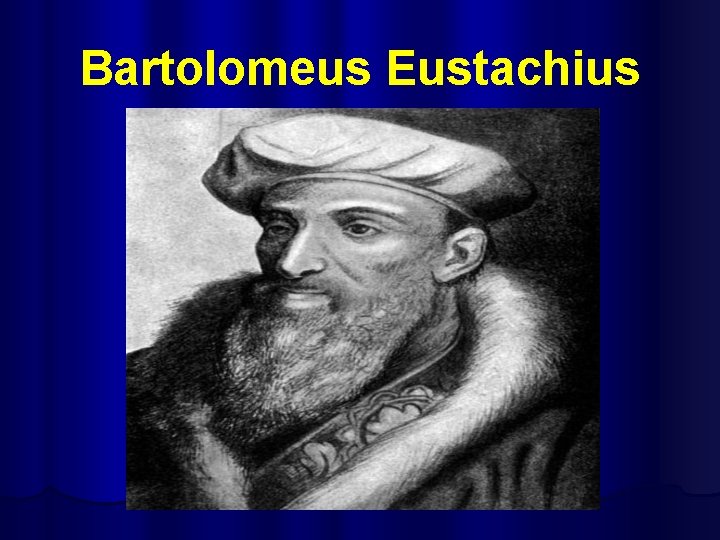 Bartolomeus Eustachius 