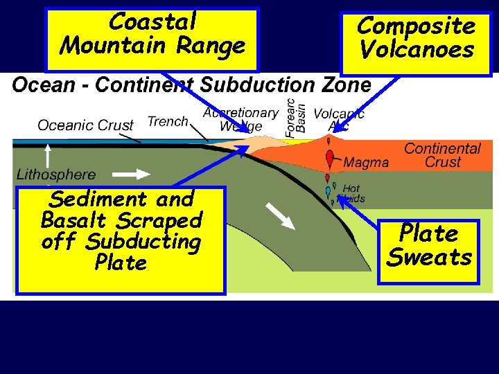 Coastal Mountain Range Sediment and Basalt Scraped off Subducting Plate Composite Volcanoes Plate Sweats