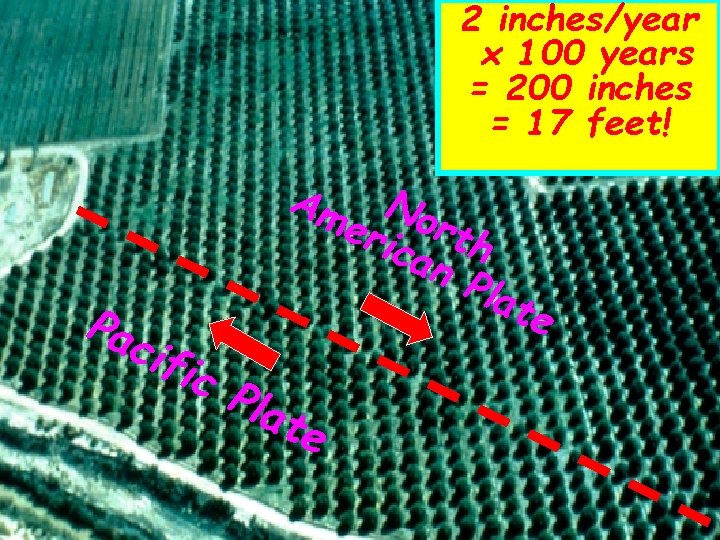 2 inches/year x 100 years = 200 inches = 17 feet! Am Pac ific 2 inches/year x 100 years = 200 inches = 17 feet! Am Pac ific