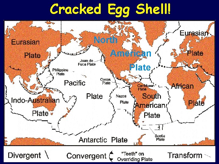 Cracked Egg Shell! Cracked Egg Shell!