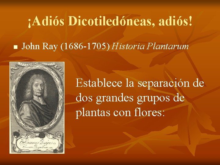 ¡Adiós Dicotiledóneas, adiós! n John Ray (1686 -1705) Historia Plantarum Establece la separación de