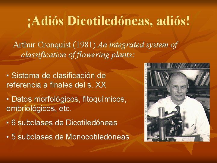 ¡Adiós Dicotiledóneas, adiós! Arthur Cronquist (1981) An integrated system of classification of flowering plants: