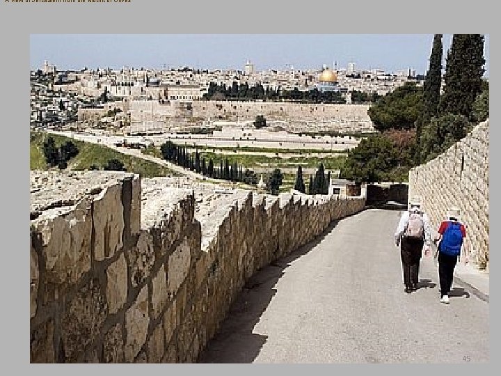 A view of Jerusalem from the Mount of Olives 45 