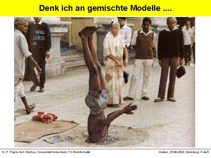 Denk ich an gemischte Modelle. . Text H. -P. Piepho & A. Büchse, Universität