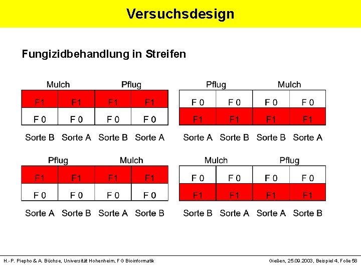 Versuchsdesign Fungizidbehandlung in Streifen H. -P. Piepho & A. Büchse, Universität Hohenheim, FG Bioinformatik