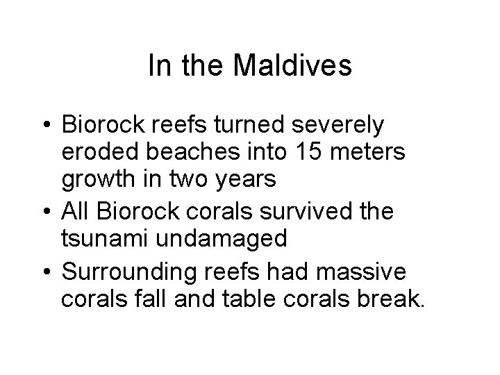 In the Maldives • Biorock reefs turned severely eroded beaches into 15 meters growth