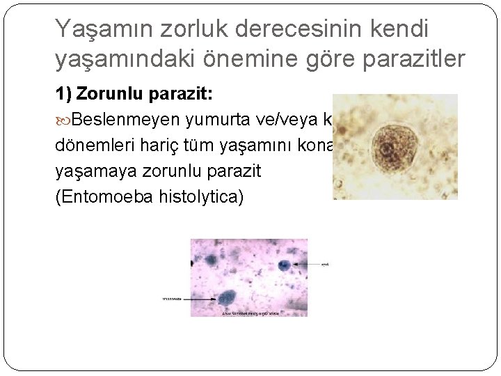 Yaşamın zorluk derecesinin kendi yaşamındaki önemine göre parazitler 1) Zorunlu parazit: Beslenmeyen yumurta ve/veya