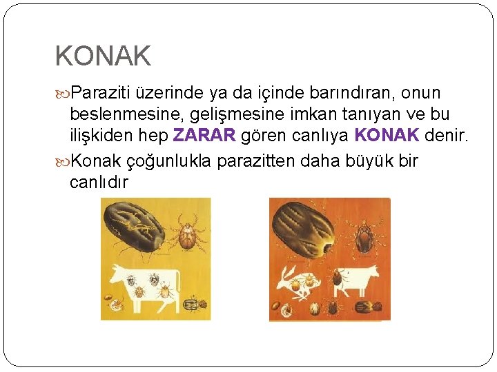 KONAK Paraziti üzerinde ya da içinde barındıran, onun beslenmesine, gelişmesine imkan tanıyan ve bu