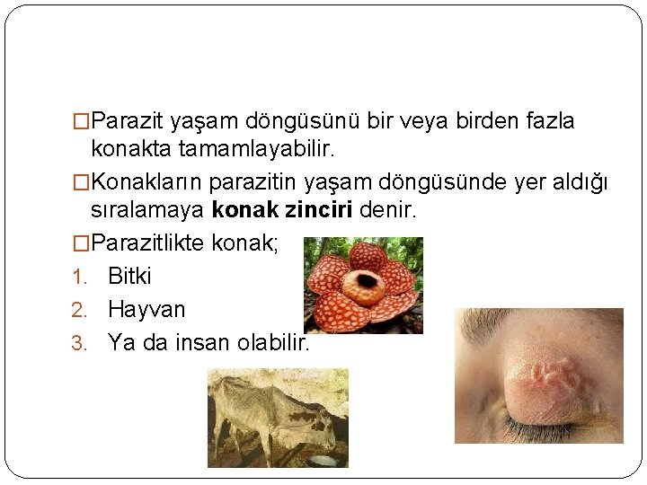�Parazit yaşam döngüsünü bir veya birden fazla konakta tamamlayabilir. �Konakların parazitin yaşam döngüsünde yer
