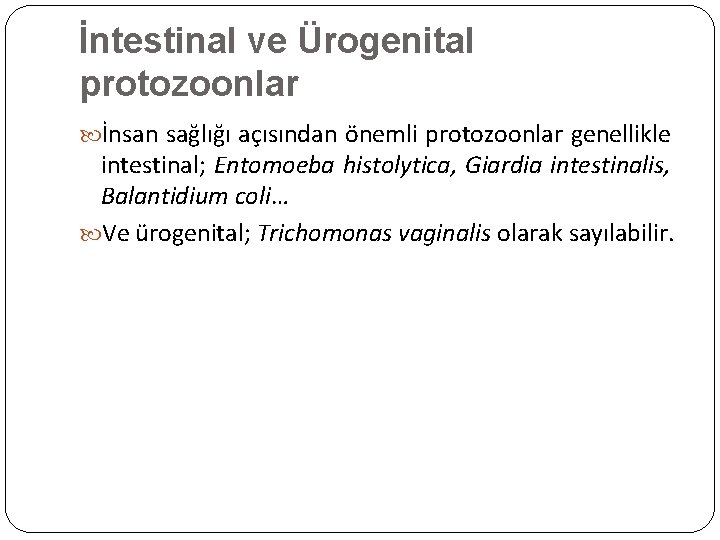 İntestinal ve Ürogenital protozoonlar İnsan sağlığı açısından önemli protozoonlar genellikle intestinal; Entomoeba histolytica, Giardia