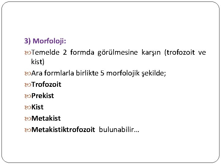 3) Morfoloji: Temelde 2 formda görülmesine karşın (trofozoit ve kist) Ara formlarla birlikte 5