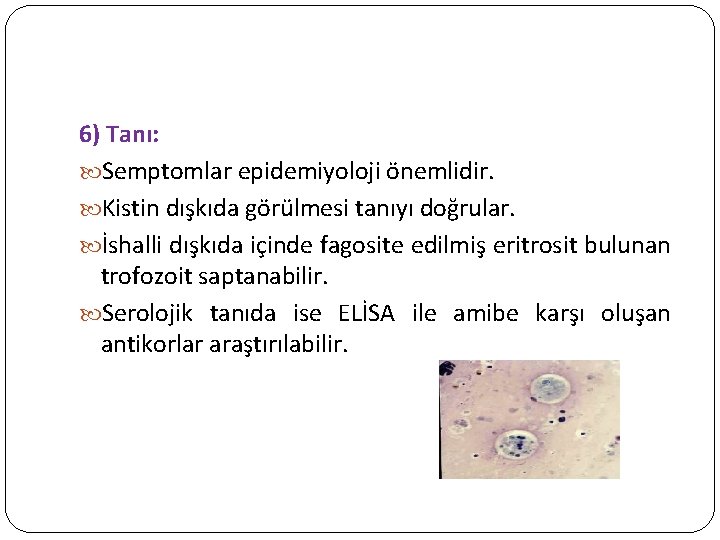 6) Tanı: Semptomlar epidemiyoloji önemlidir. Kistin dışkıda görülmesi tanıyı doğrular. İshalli dışkıda içinde fagosite